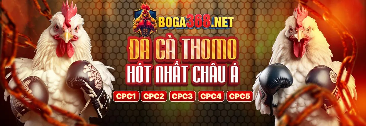 Đá gà trực tuyến kịch tính tại tt88